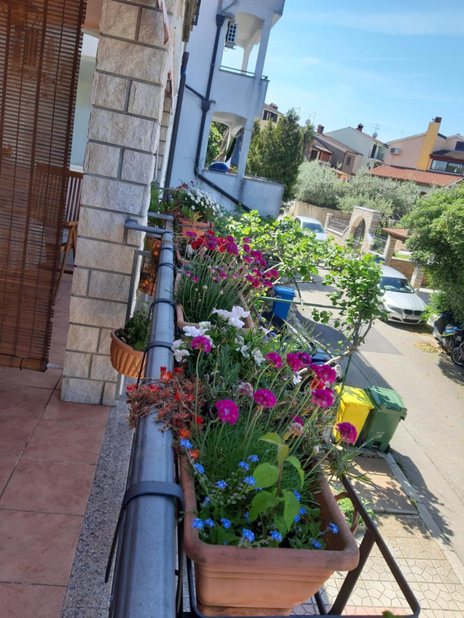 Adria Appartement *