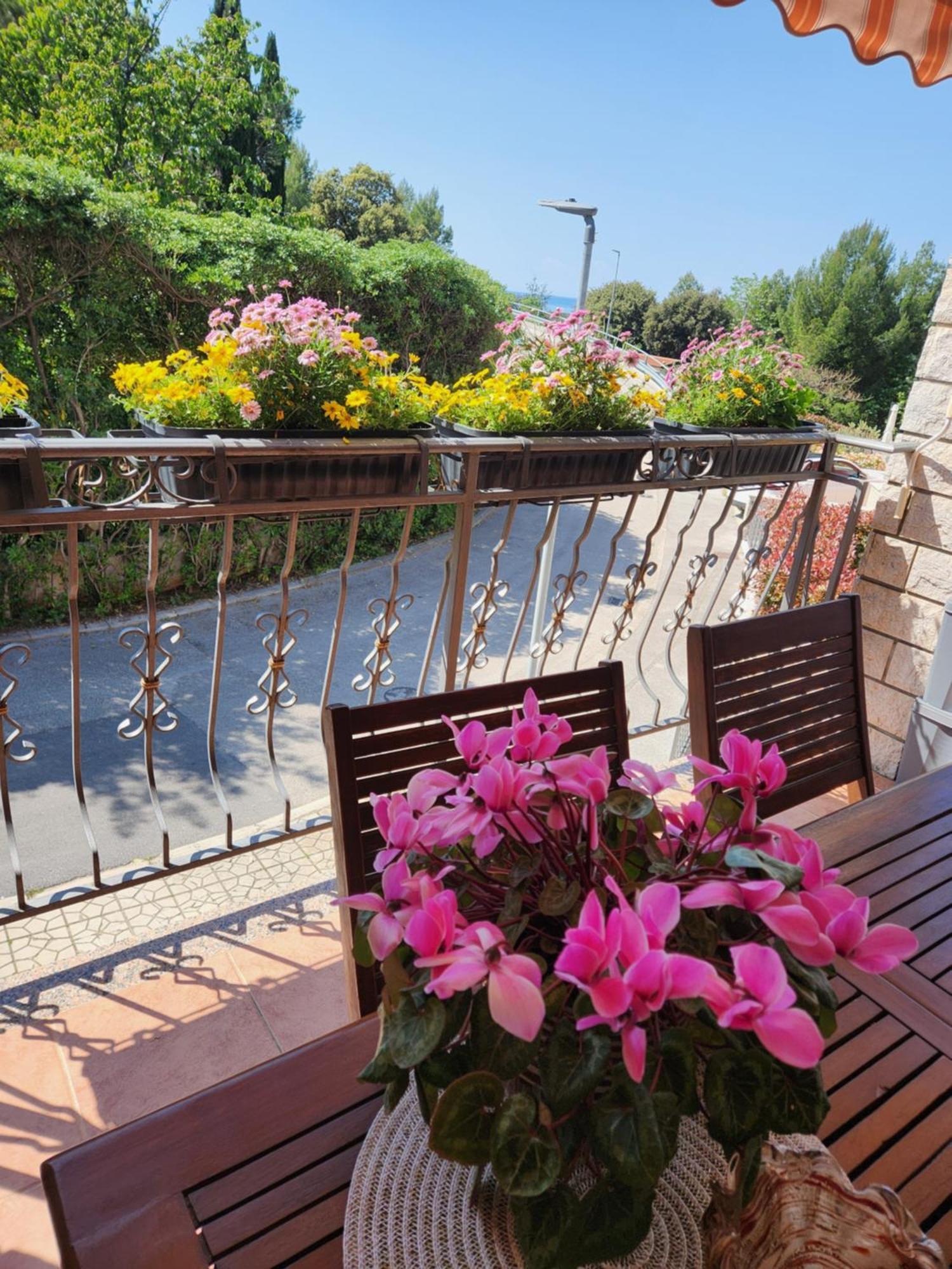 Adria Apartment Vrsar