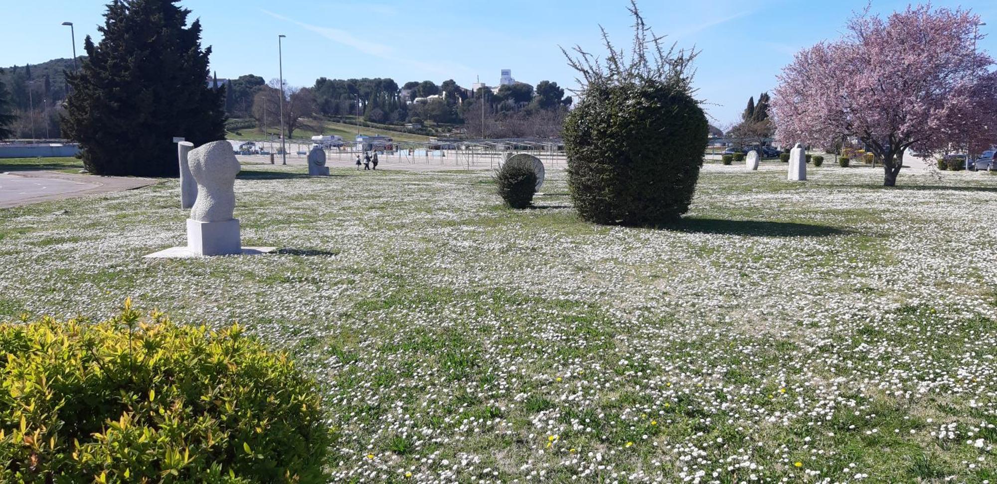 Apartment Adria