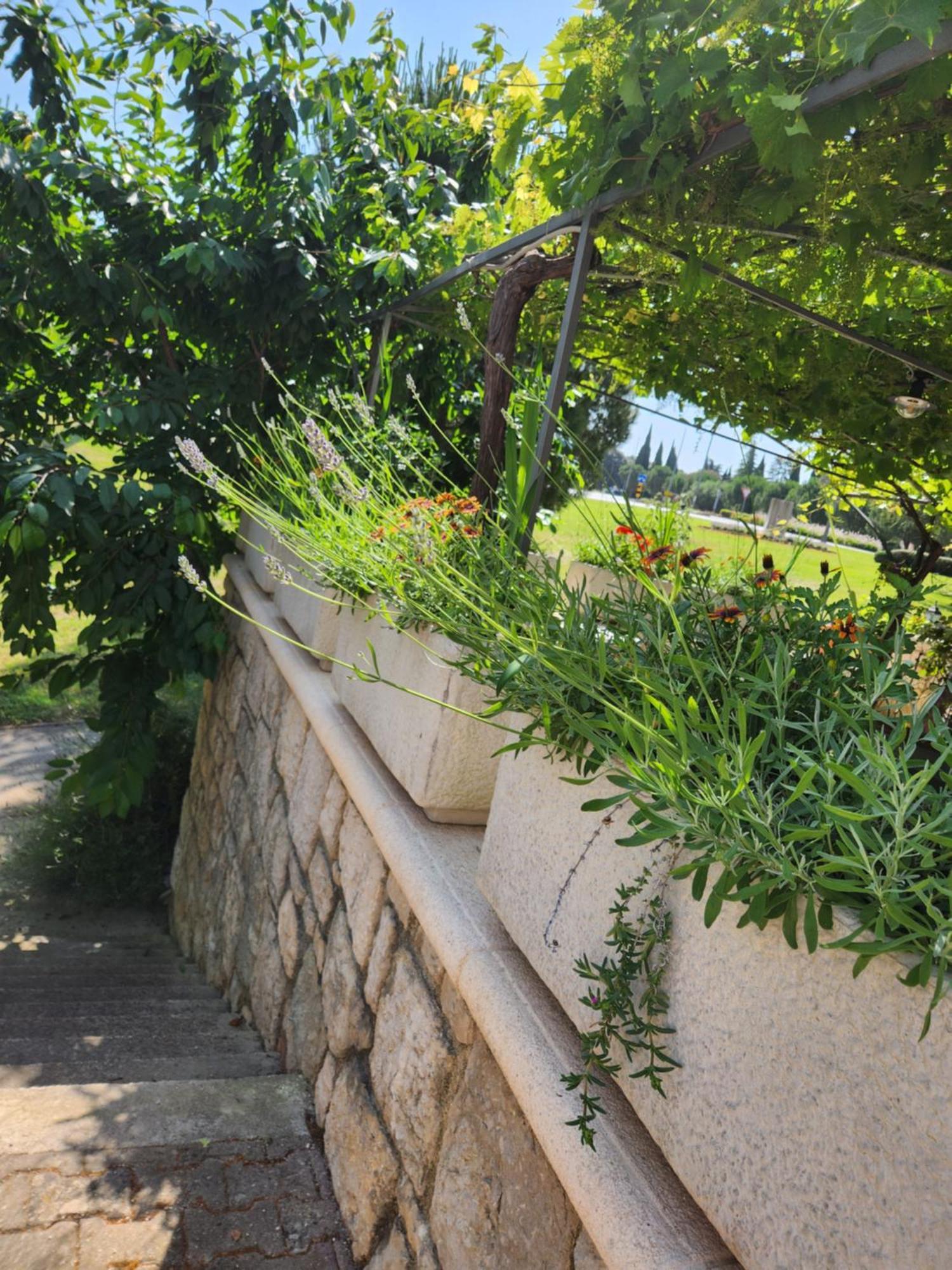 Adria Apartment Vrsar