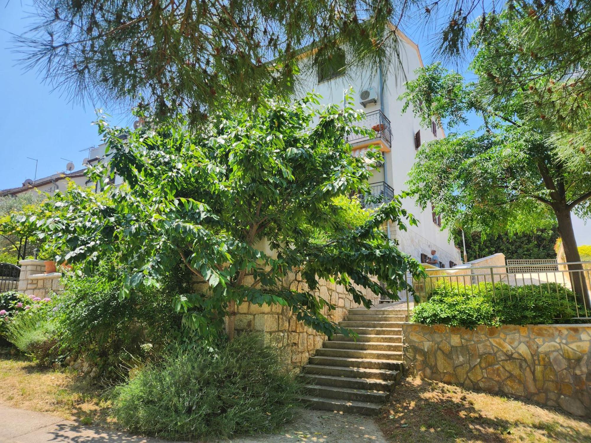 Adria Apartment