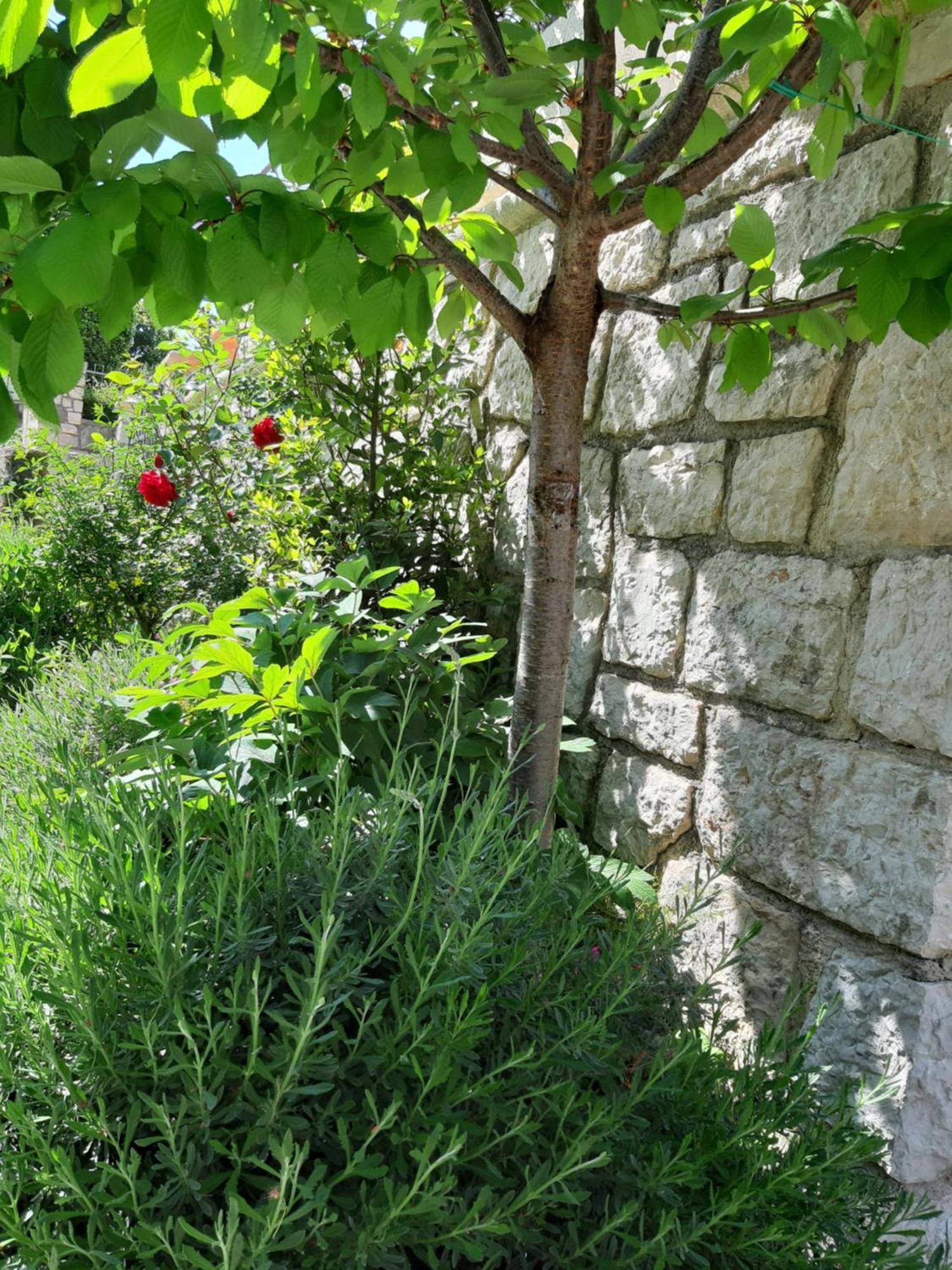 Adria Apartment Vrsar