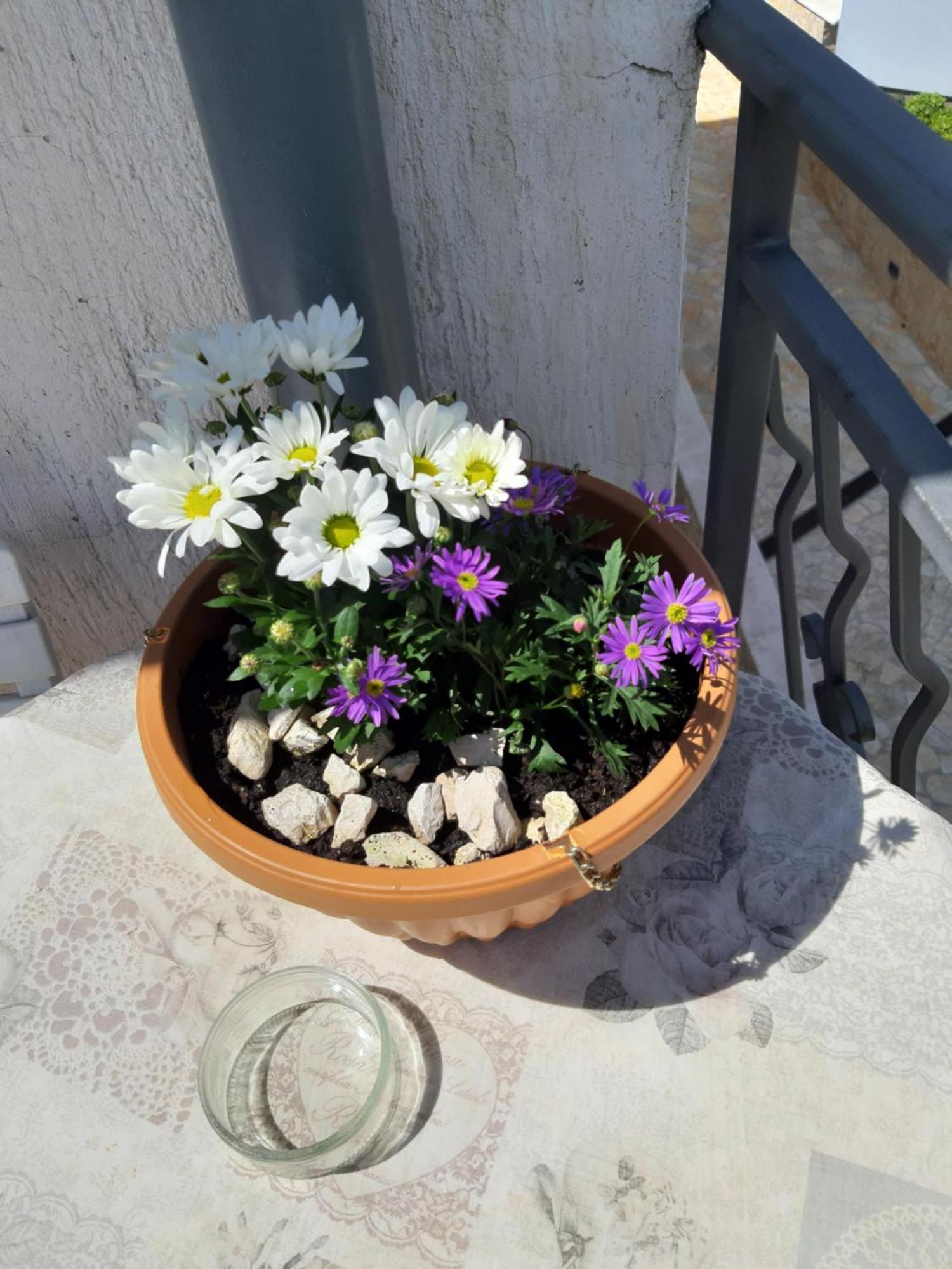 Adria Apartment *